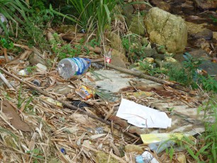 garbage-at-side-of-river.jpg